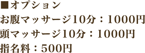 オプション料金